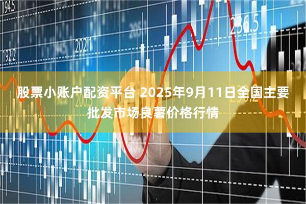 股票小账户配资平台 2025年9月11日全国主要批发市场良薯价格行情