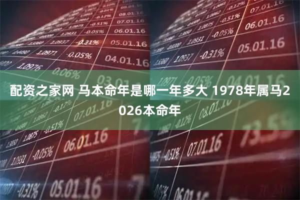 配资之家网 马本命年是哪一年多大 1978年属马2026本命年